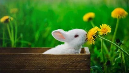 贾玲减肥一百斤能带火健身市场吗？